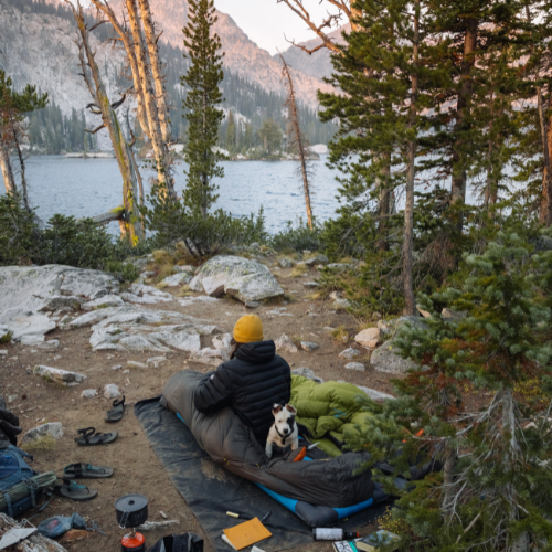 Light Quilt by Zenbivy