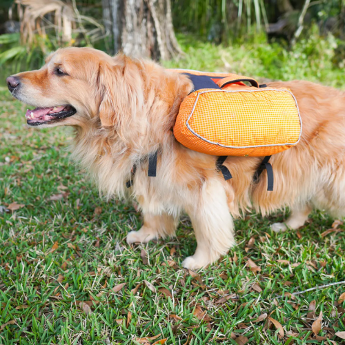 Ultralight Dog Backpack by Red Paw Packs